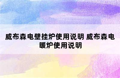 威布森电壁挂炉使用说明 威布森电暖炉使用说明